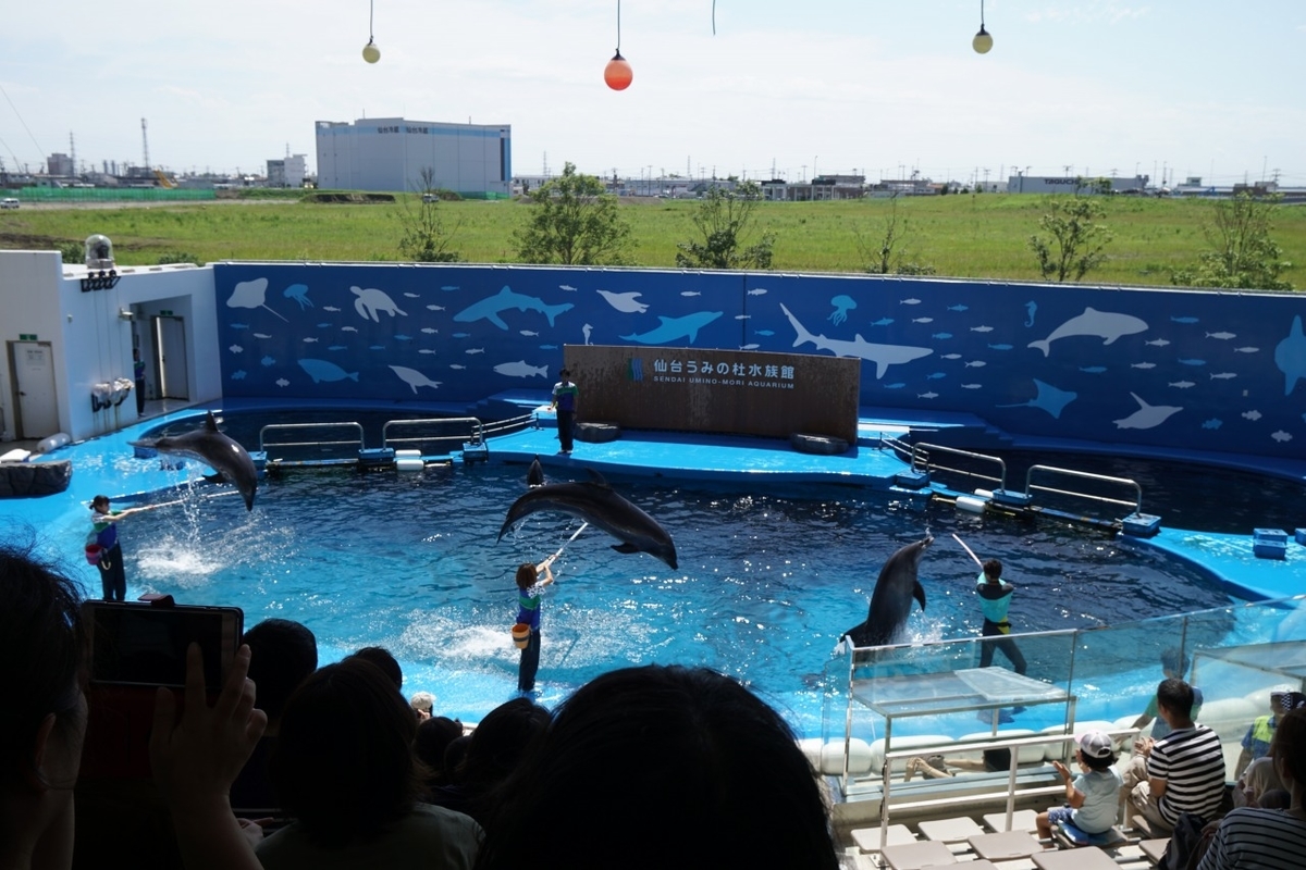 仙台うみの杜水族館　イルカショー