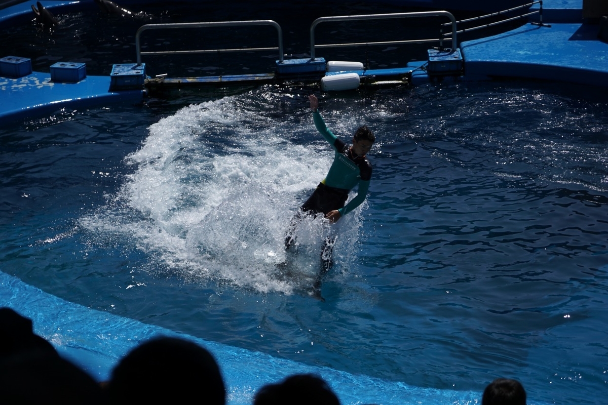 仙台うみの杜水族館　イルカショー