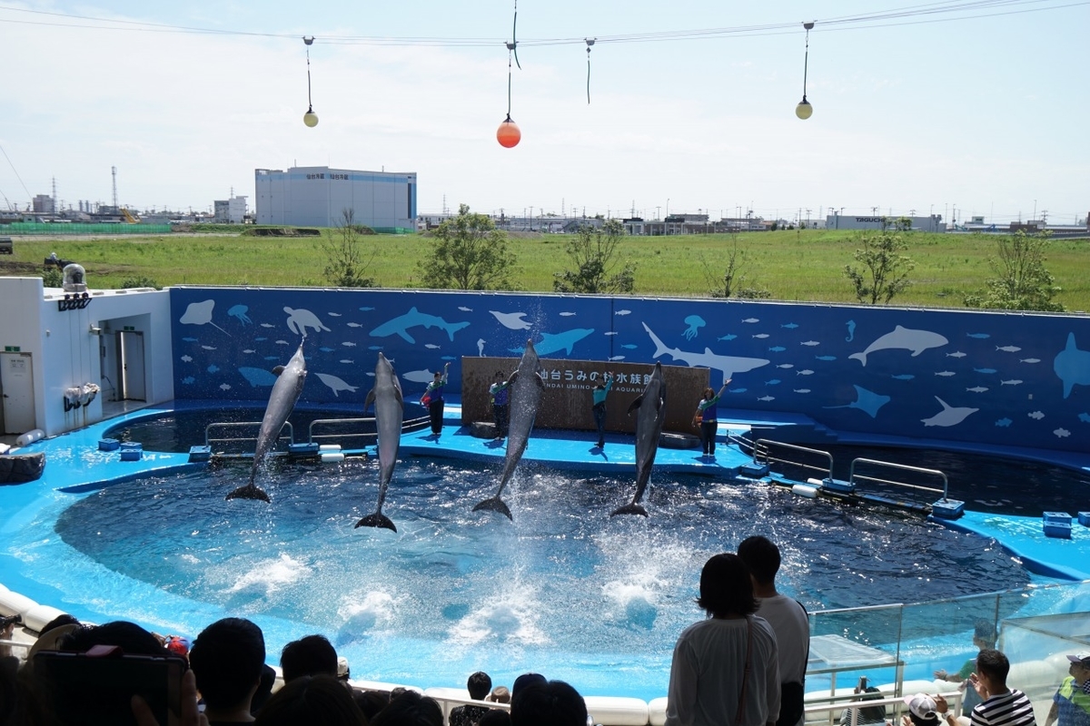仙台うみの杜水族館　イルカショー