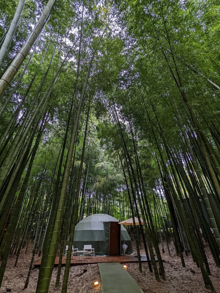 The Bamboo Forestの緑のドームテント