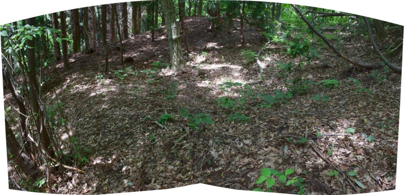 f:id:temeraire1839:20150614194829j:image:w640