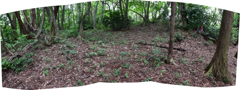 f:id:temeraire1839:20150614194833j:image:w640