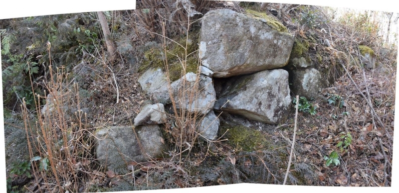 f:id:temeraire1839:20180225220835j:image:w640