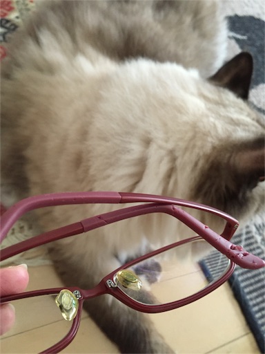 f:id:templecat:20161004102904j:image