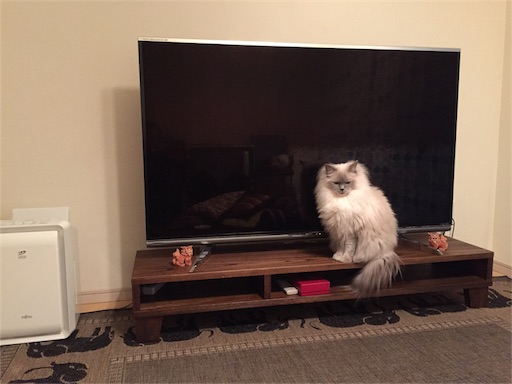 f:id:templecat:20161219163624j:image f:id:templecat:20161219163624j:image