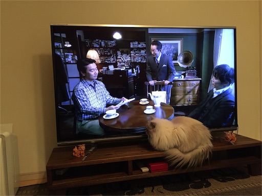 f:id:templecat:20161219165137j:image f:id:templecat:20161219165137j:image
