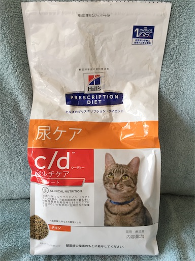 f:id:templecat:20190305155642j:image f:id:templecat:20190305155642j:image