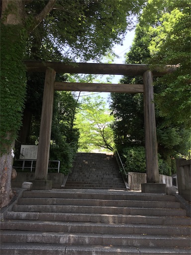 f:id:templecat:20190626155817j:image f:id:templecat:20190626155817j:image