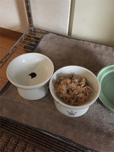 f:id:templecat:20210516130624j:image