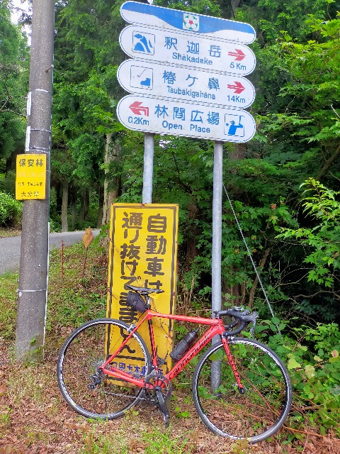 f:id:ten-misu-hide:20220803162325j:image