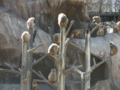 20120407145939
