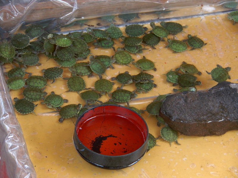f:id:ten-sei:20120414120325j:image:w360