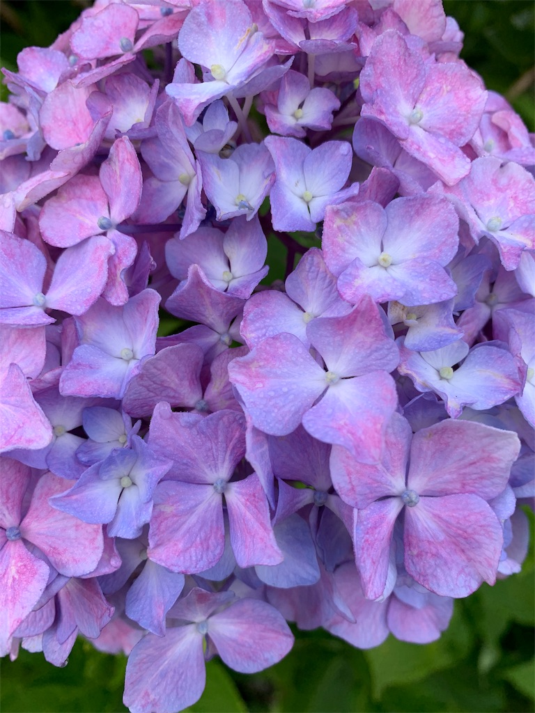 f:id:ten122439:20190616065143j:image f:id:ten122439:20190616065143j:image