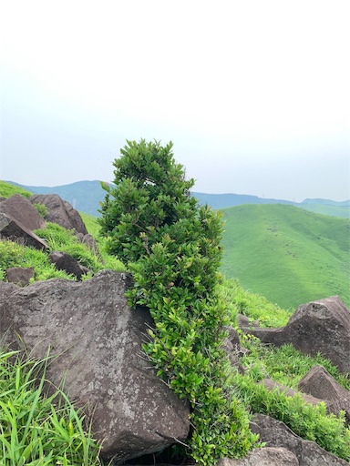 f:id:ten122439:20190620094938j:image f:id:ten122439:20190620094938j:image