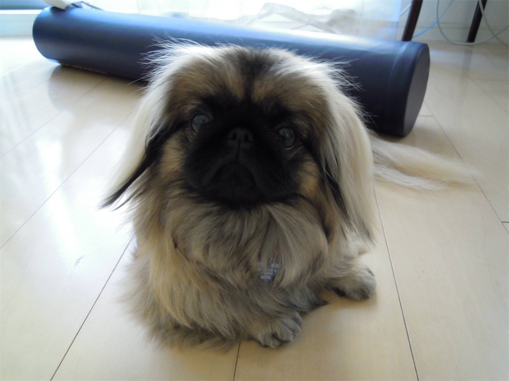 f:id:ten2ku10:20220409124640j:image f:id:ten2ku10:20220409124640j:image