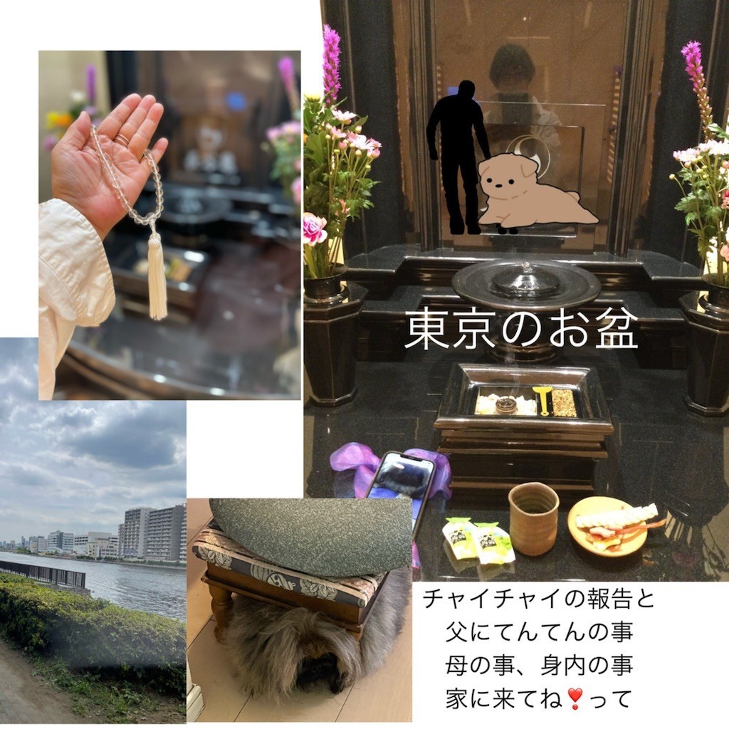 f:id:ten2ku10:20220723183353j:image f:id:ten2ku10:20220723183353j:image