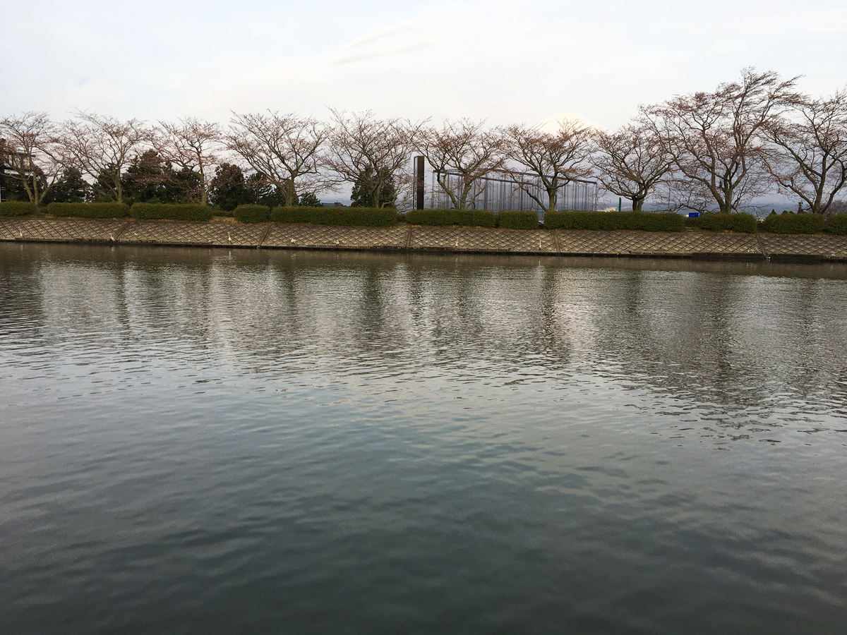 f:id:tenaraioyaji:20220301095209j:plain