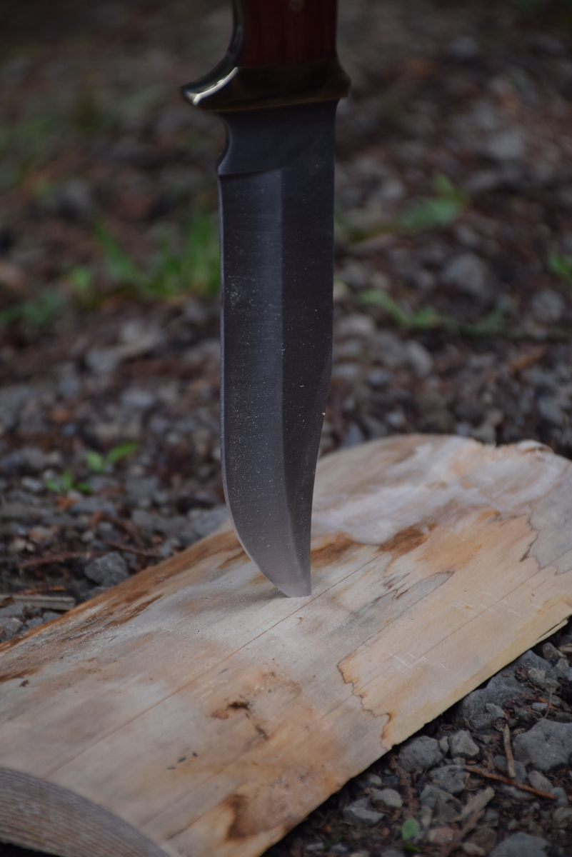 f:id:tenb140:20200313162019j:plain f:id:tenb140:20200313162019j:plain