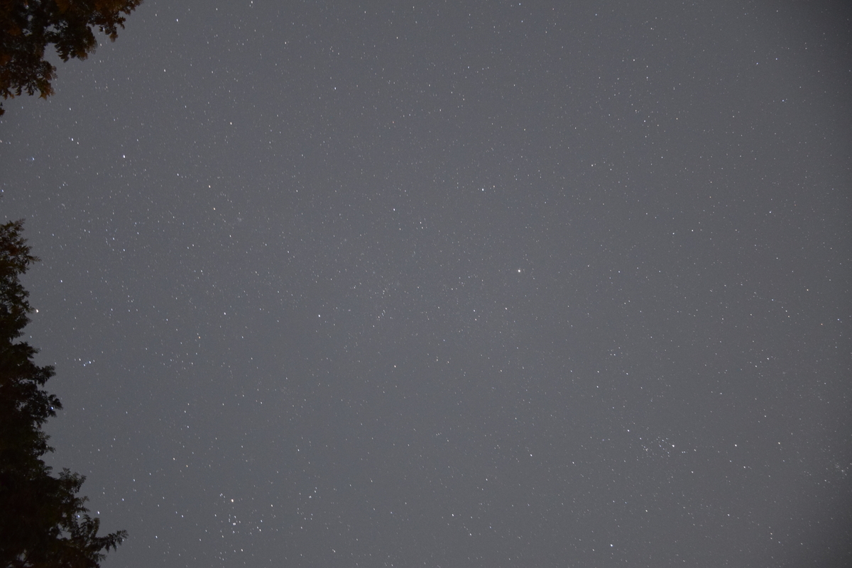 f:id:tenb140:20200313190924j:plain f:id:tenb140:20200313190924j:plain