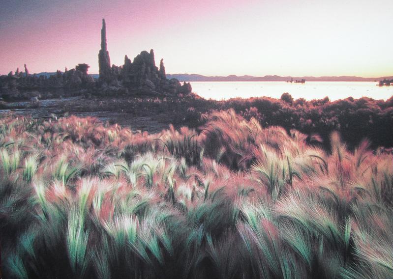 f:id:tenbyouga:20161008141705j:plain