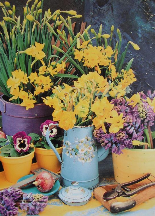 f:id:tenbyouga:20170303052529j:plain