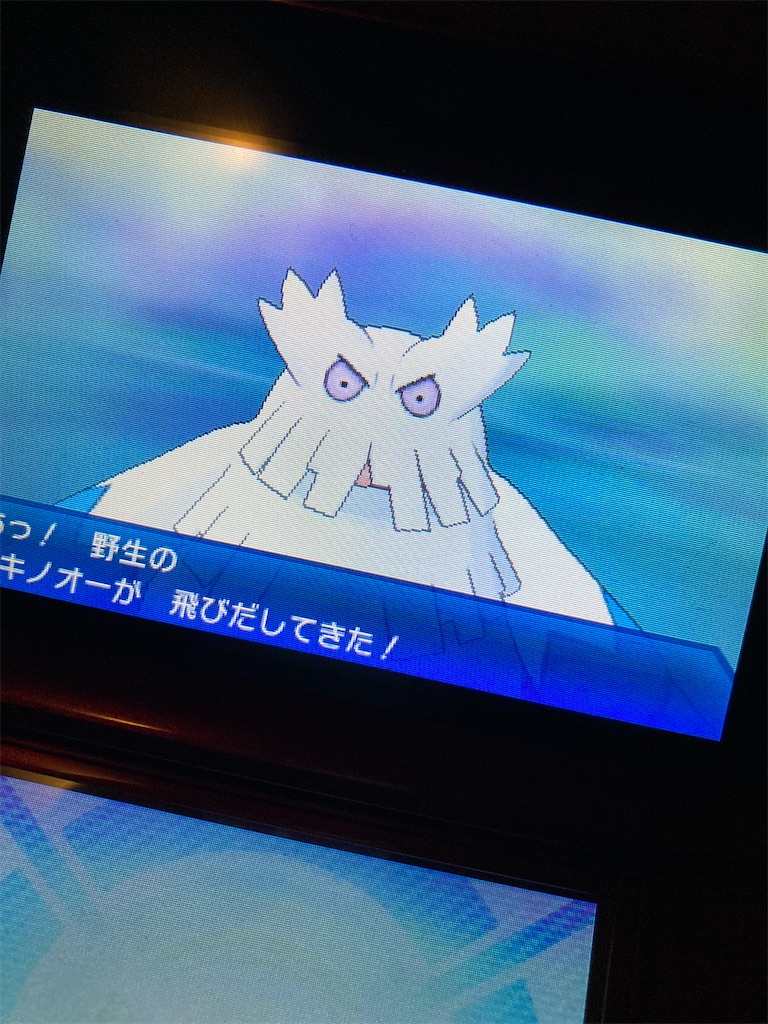 色違い ユキノオー てんでじるの大きいメモ帳 色違い ユキノオー てんでじるの大きいメモ帳