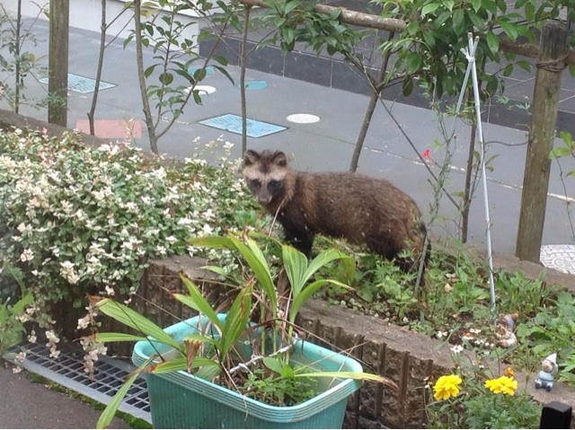 f:id:tender-higashikoyodai:20161011220610j:plain f:id:tender-higashikoyodai:20161011220610j:plain