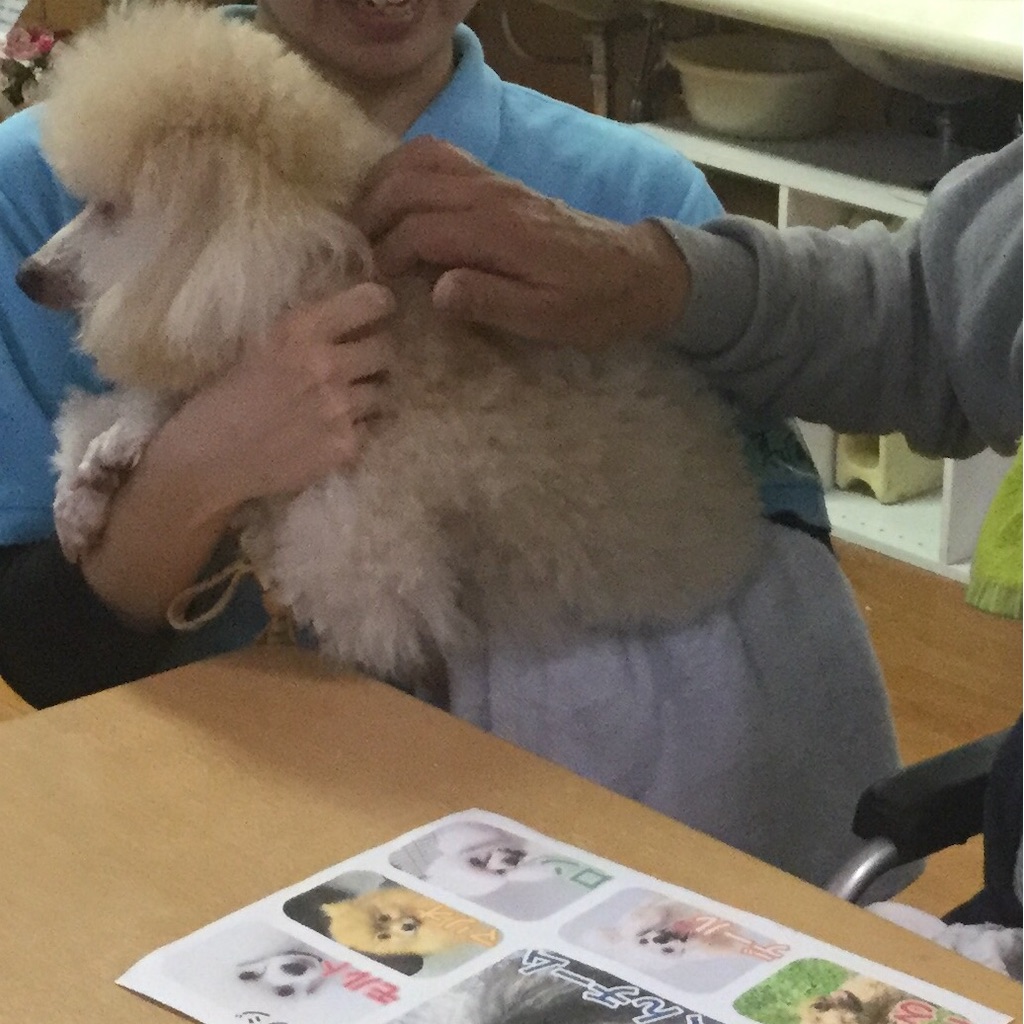 f:id:tender-higashikoyodai:20190226084117j:image f:id:tender-higashikoyodai:20190226084117j:image