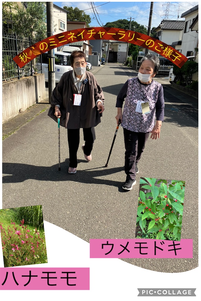 f:id:tender-higashikoyodai:20260911125939j:image f:id:tender-higashikoyodai:20260911125939j:image