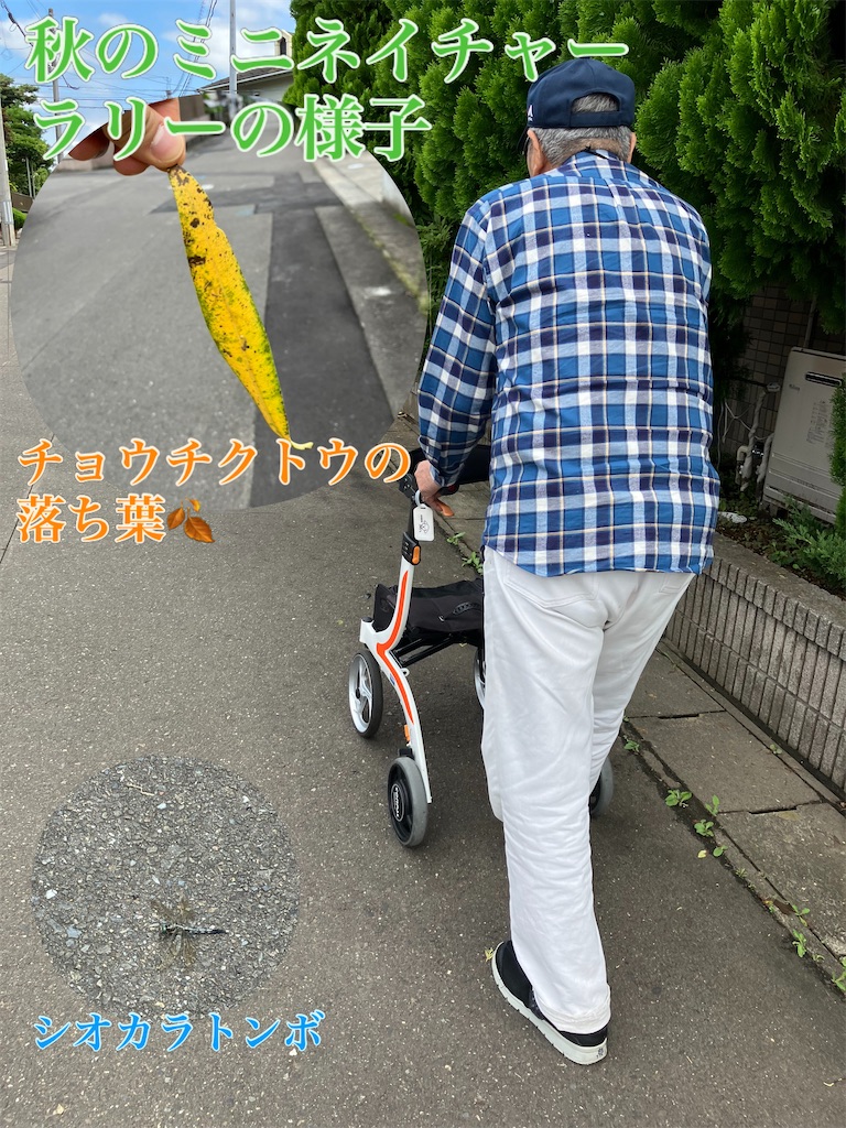 f:id:tender-higashikoyodai:20260911125959j:image f:id:tender-higashikoyodai:20260911125959j:image