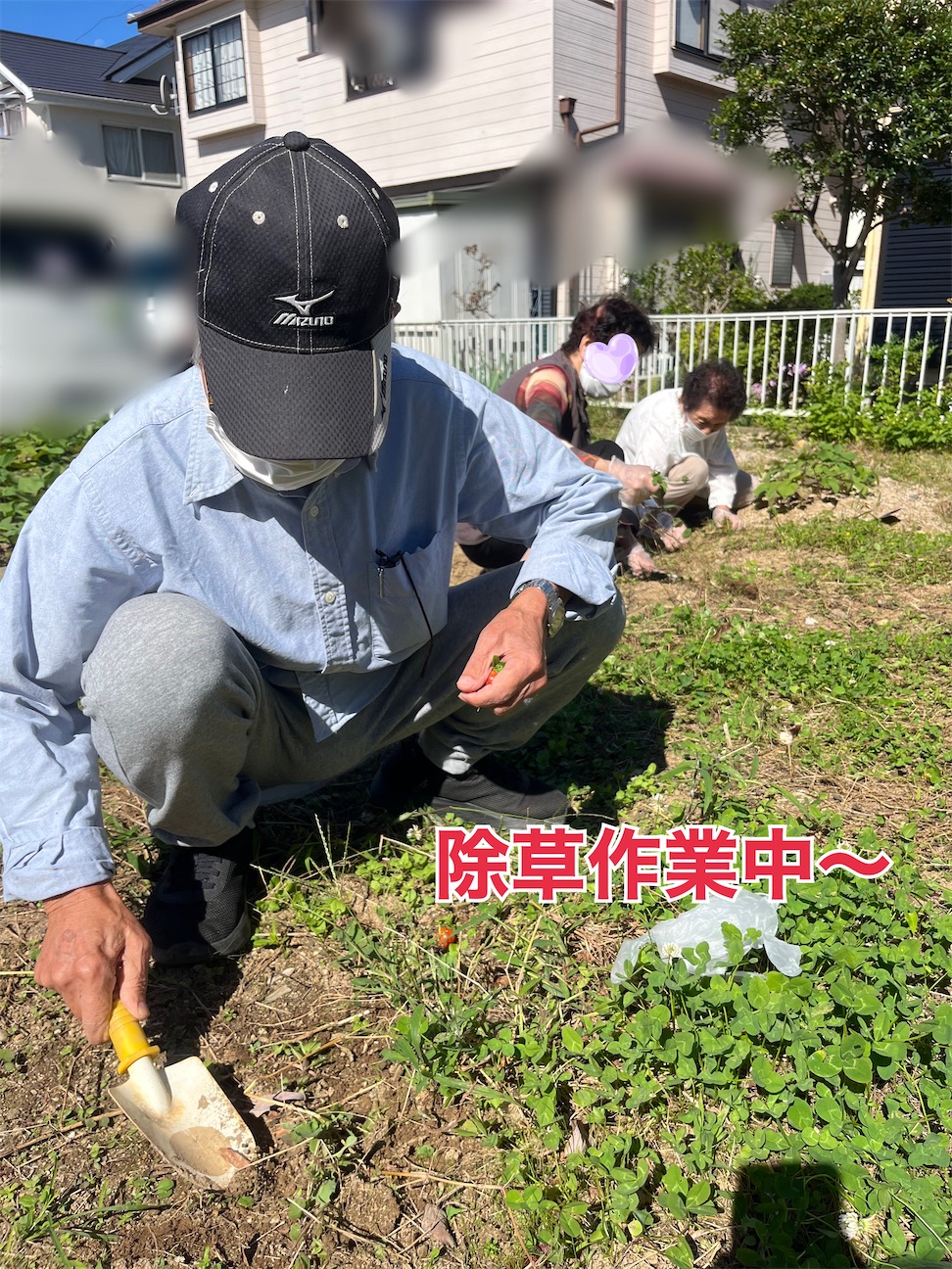 f:id:tender-ogds:20261002140024j:image f:id:tender-ogds:20261002140024j:image