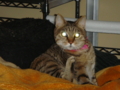 20100412222105