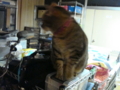 20100412222253