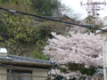 20100415122656