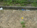 20100415123730