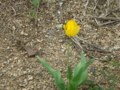 20100415123748