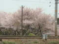 20100415124053