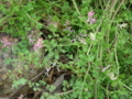 20100415124221