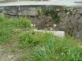 20100415124344
