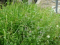 20100415124354