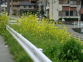 20100415124408