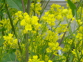 20100415124431