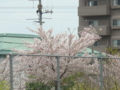 20100415124458
