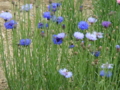 20100415124548