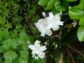 20100415124617