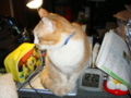 20100422121605