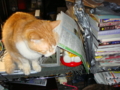 20100422121627