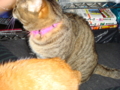 20100422121639