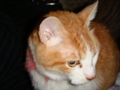 20100422121657
