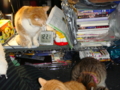 20100422121720